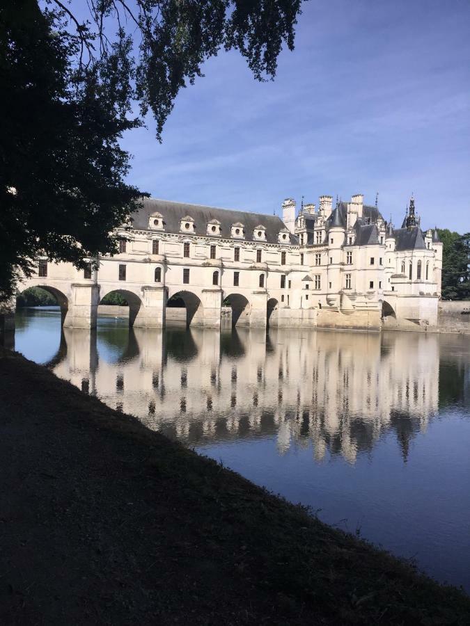 Au Coeur De La Cour Villa Saint-Georges-sur-Cher Kültér fotó